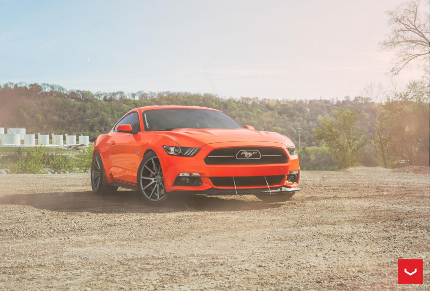 Ford Mustang �� ������ VFS1