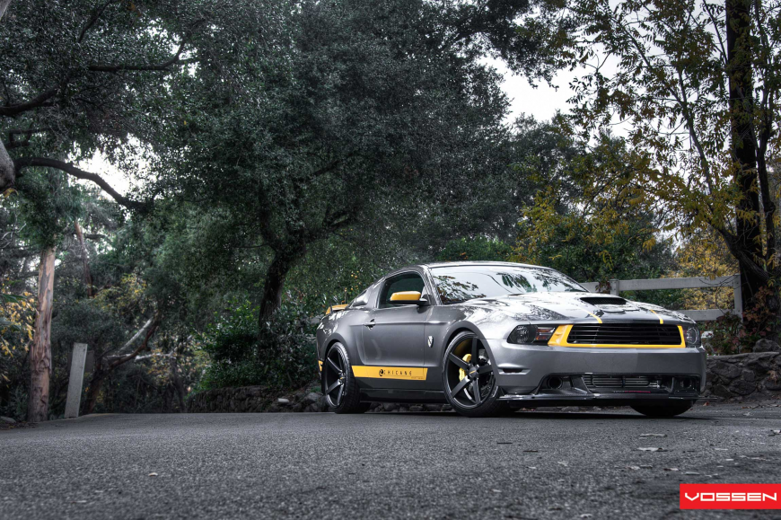 Ford Mustang �� ������ VVSCV3